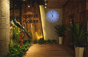 綠色風(fēng)格咖啡店裝修實景圖